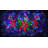 Christmas Digital Kit Includes 7 AtmosFX Video Effects for Christmas & 48” x 72” Projection Screen