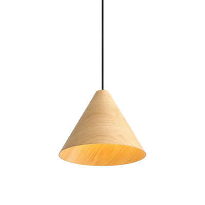 Dimmable Single Light Pendant