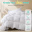 Édredon en duvet d'oie toutes saisons avec mélange de coton doux sans bruit, 90 x 90 pouces-703242581