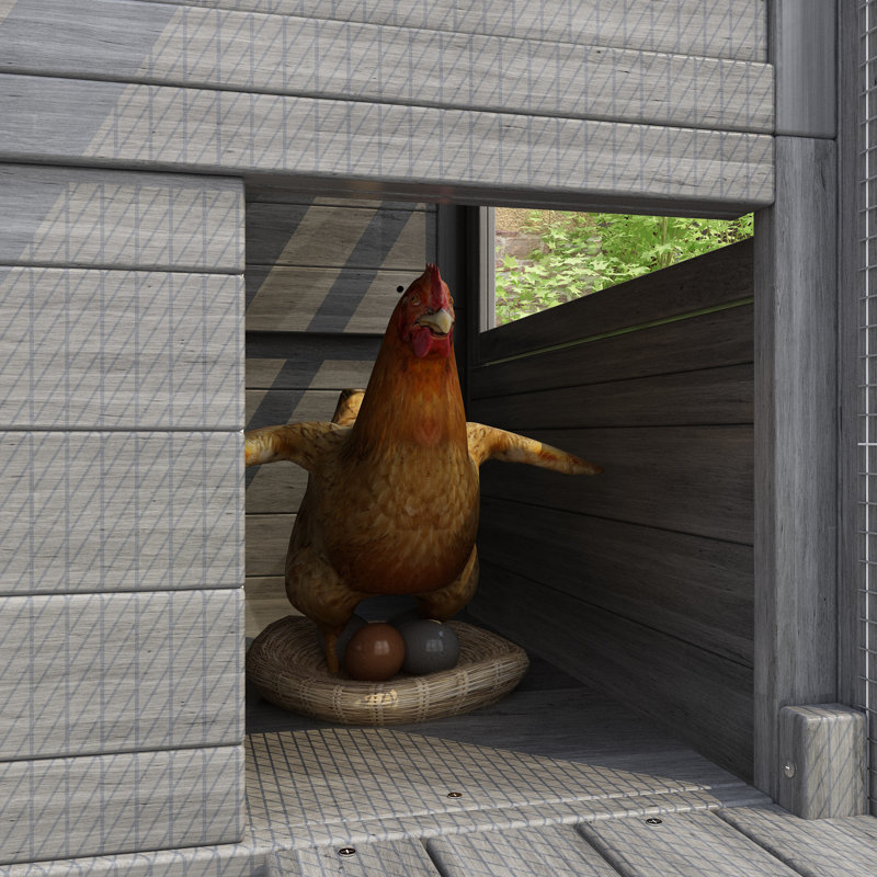 Erminio 33.53 Square Feet Chicken Coop with Chicken Run For Up To 6 Chickens, Gray