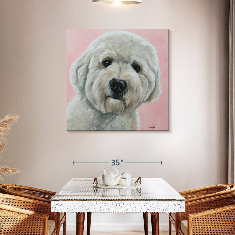 Labradoodle Brampt Hank sur fond rose