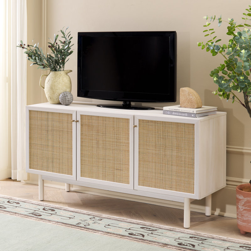 Spigner TV Stand for TVs up to 60", Bleached White / Natural