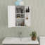 Armoire de salle de bain murale avec porte miroir