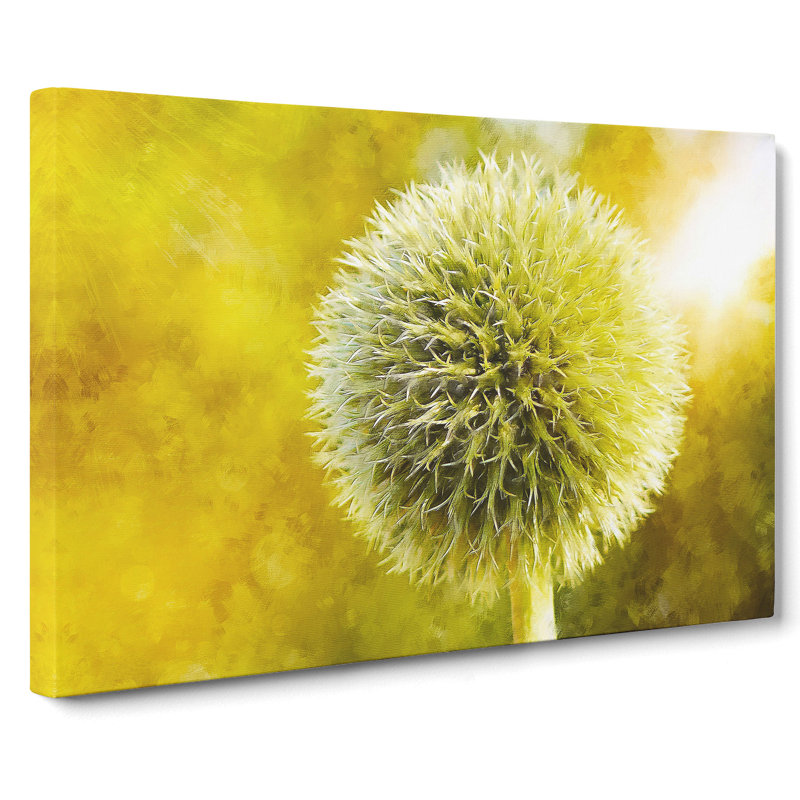 Thistle Flower Vol.2 - Wrapped Canvas Print, 35cm H x 50cm W x 3cm D