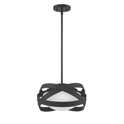 Luminaire suspendu 1 lumière noir