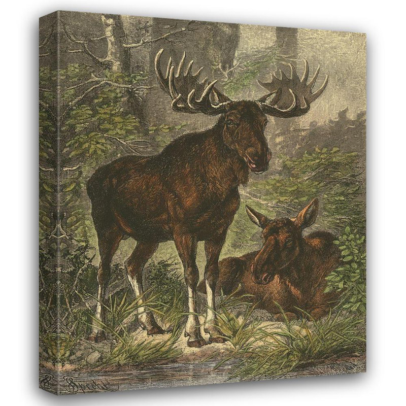 Art sur toile tendue par Millwood Pines, H 34 po x l 28 po