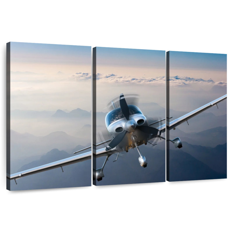 Mehar Private Propeller Plane, 48" H x 74" W