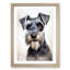 Schnauzer Informel No.3 - Single Picture Frame Print on Wood-463033996-463033999