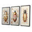 Ensemble de 3 reproductions d'art or et insectes et insectes-2104333684-2104333687