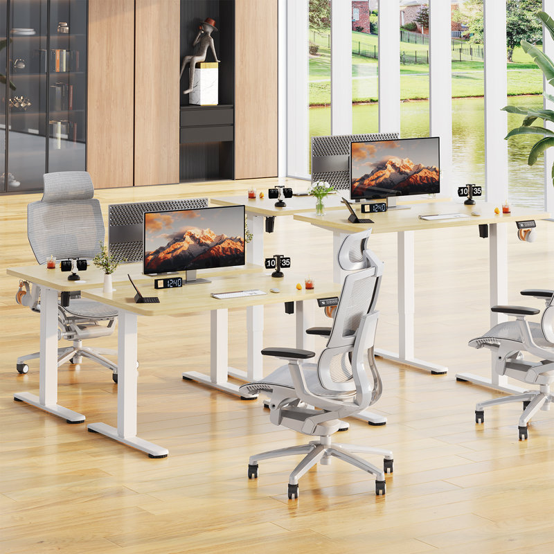 Mallus 120CM x 60CM Electric Height Adjustable Standing Desk, 160cm. W x 60cm. D, Natural/White