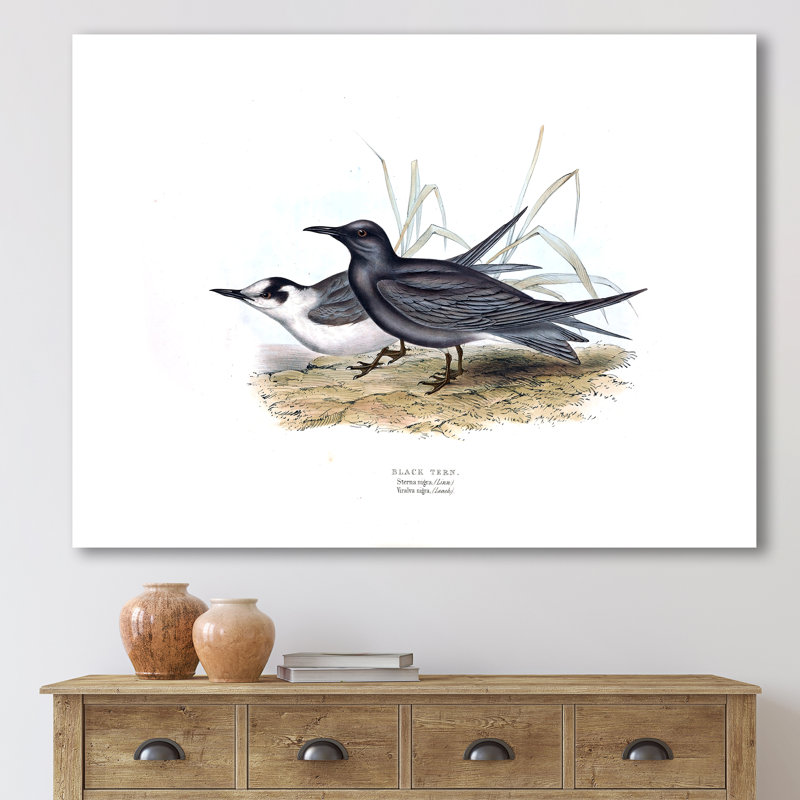 Oiseau rétro de l'Europe II - peinture sur toile, H 16 po x l 32 po x p 1 po, Toile tendue