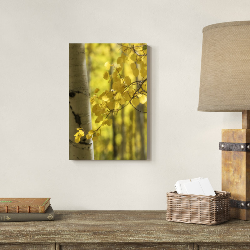 " Aspen Highlights ", 18" H x 12" W