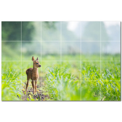 Cerf photo 12 x 12