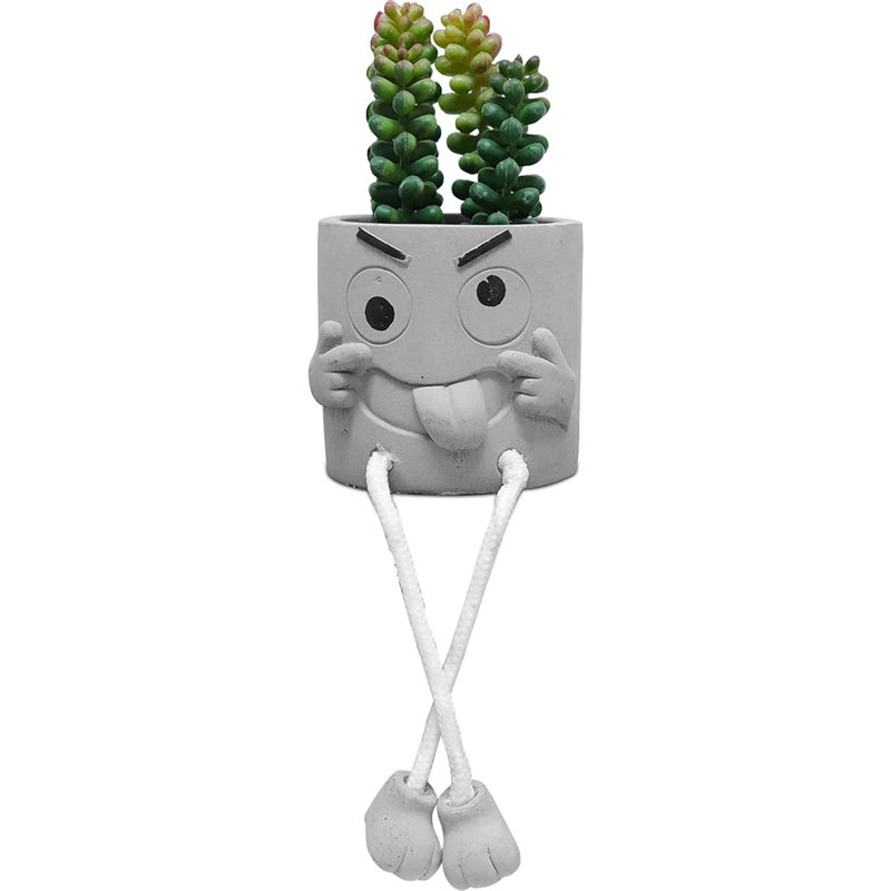 Plantes succulentes artificielles dans des pots en ciment
