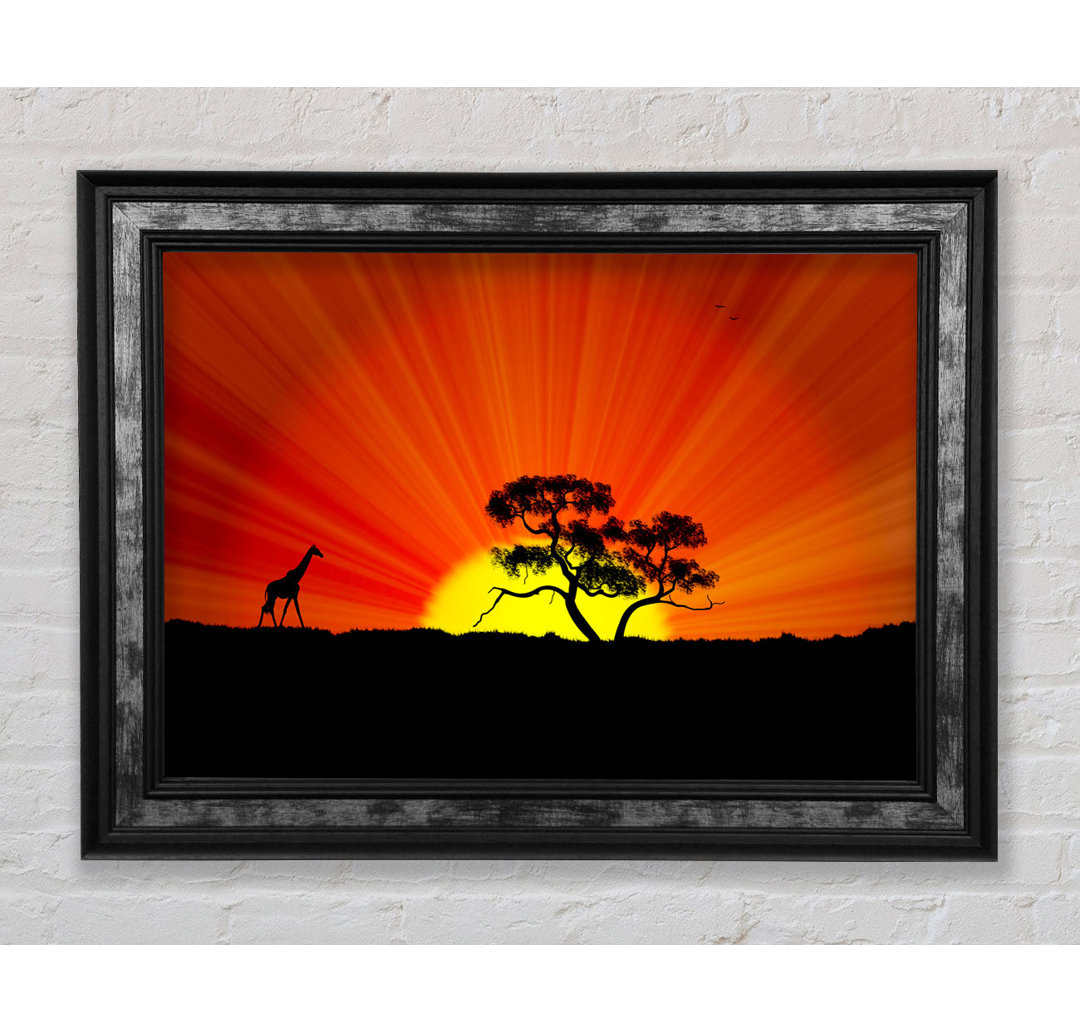 African Sunblaze Gerahmter Druck Wandkunst