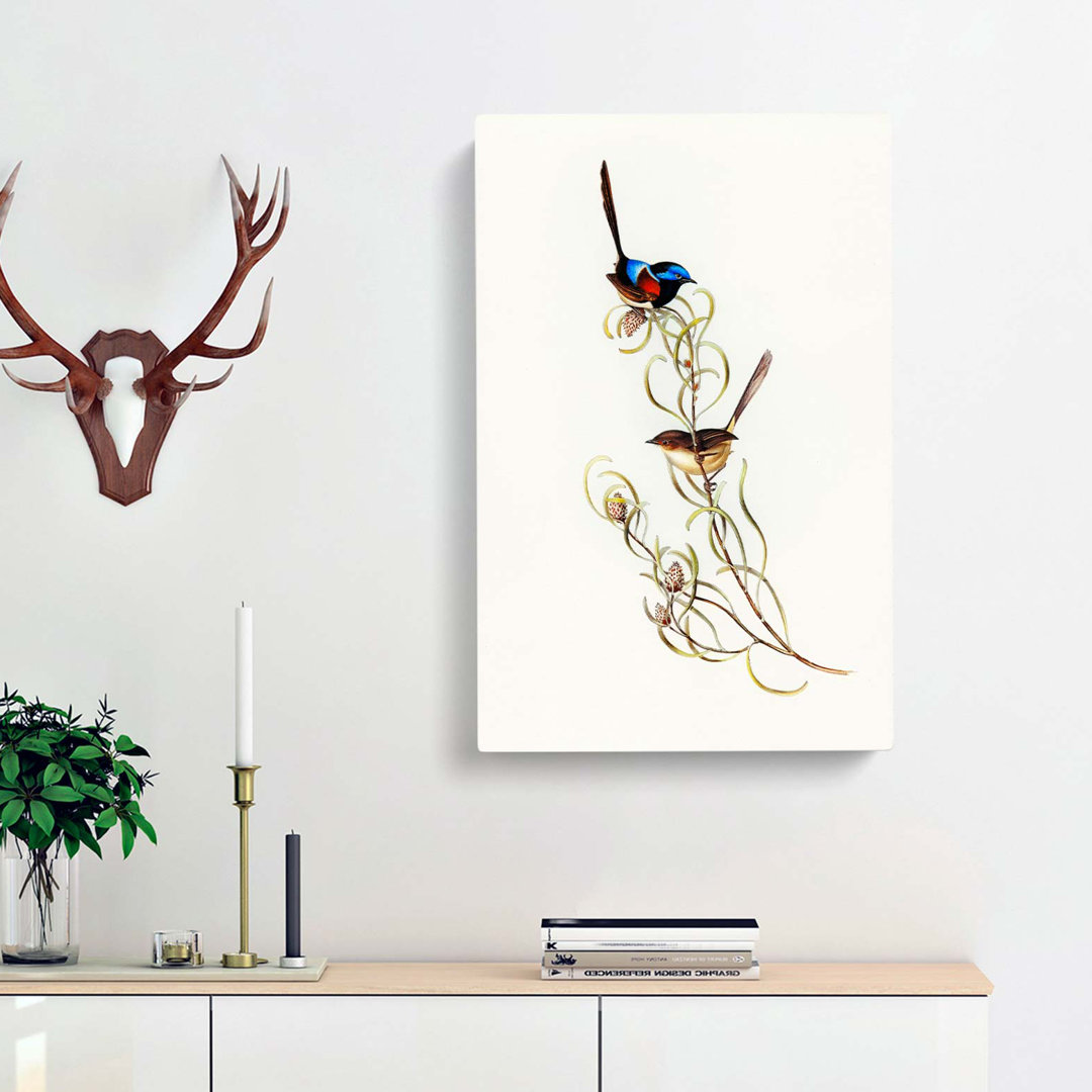 Graceful Wrens by Elizabeth Gould - Wrapped Canvas