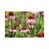 Wrapped Canvas selected