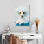 Ketti terrier au bain bleu-108436551
