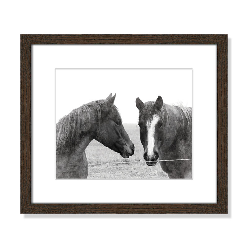 Wild Pastures par Carol Robinsons - reproduction de photo sur papier encadrée, H 13 po x l 15 po x P 0,75 po, Noyer
