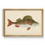 «Donovan Antique Fish I», cadre photo, impression sur toile-961319918-961319905