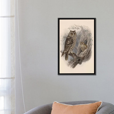 «Tree Owls, 1902», impression sur toile
