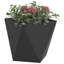 Planter Box-1880811764-1880811659