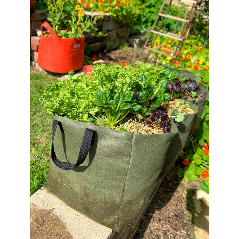 Planter Box