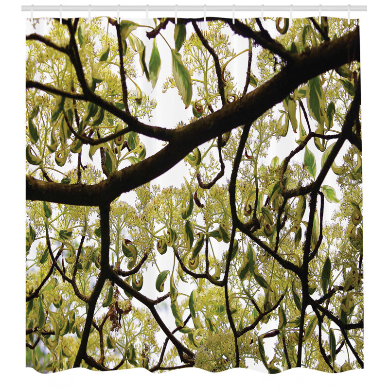 Shower Curtain with Hooks Included, 70" H x 69" W