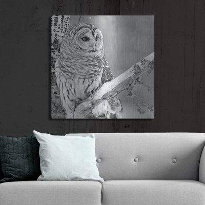 «White Owl» par Photoinc Studio, art mural en métal
