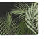 Paillasson Waving Palm Beach-1814880307-1814880311