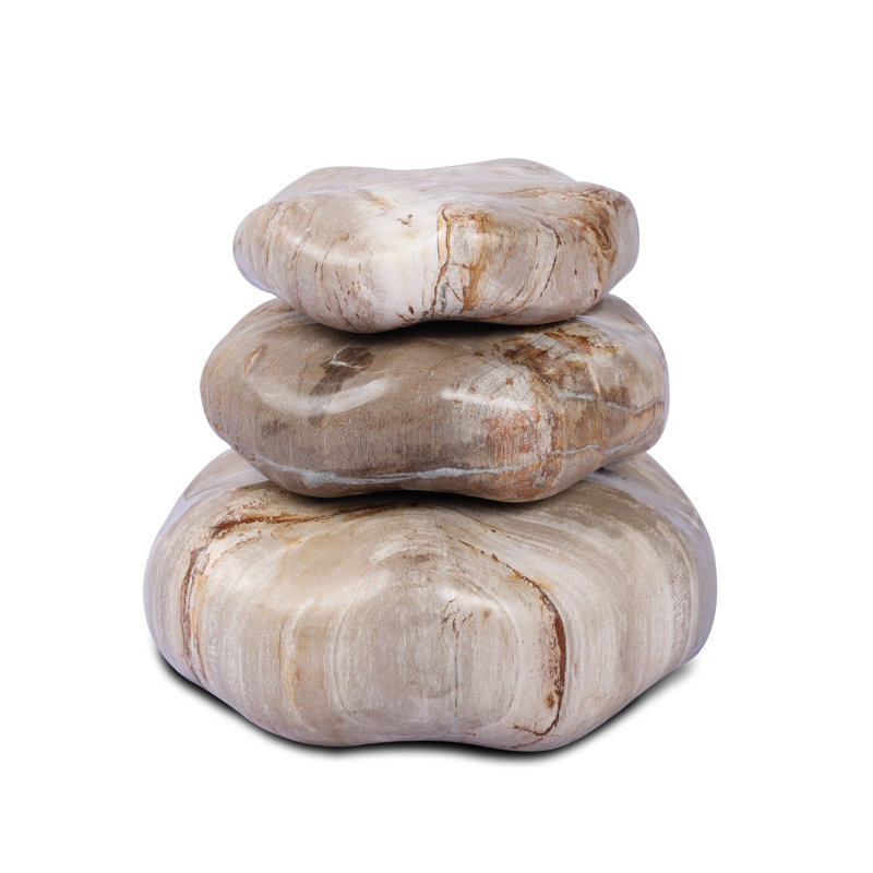 Petrified Wood Organic Sculpture, Light Brown