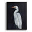 Calm Great Egret I - impression-1507152967-1507152965