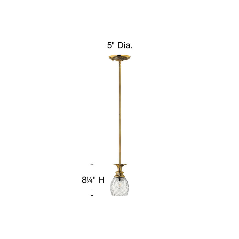 Plantation 1-Light Single Bell Pendant