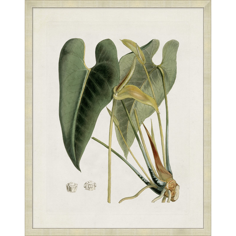 Feuille verte 1