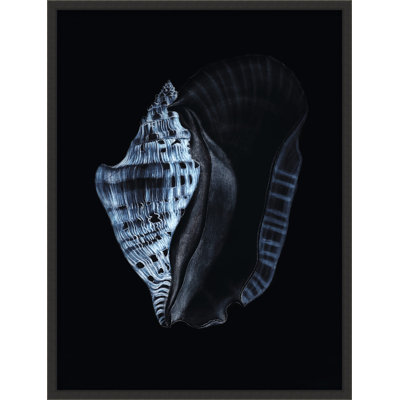 Tidal Blues 2 Print by Art House Studios