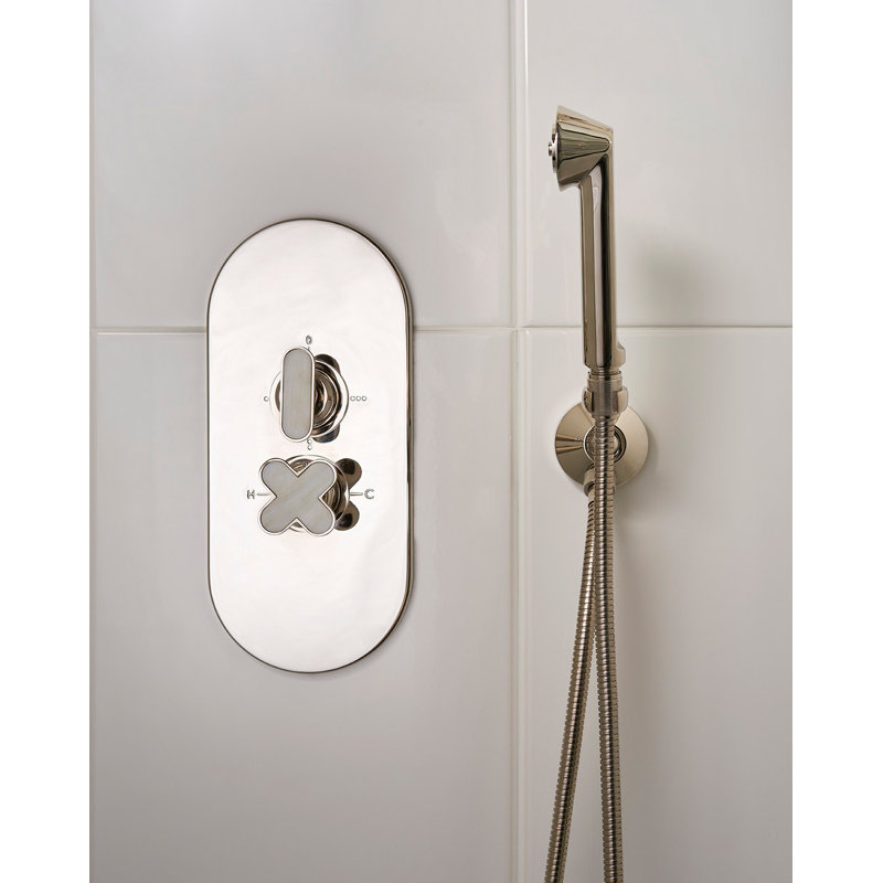 Twenties Shower Set: Long Hose, Handset, Wall Bracket and Water Intake, Antique Brass