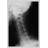 Neck Photographic Print