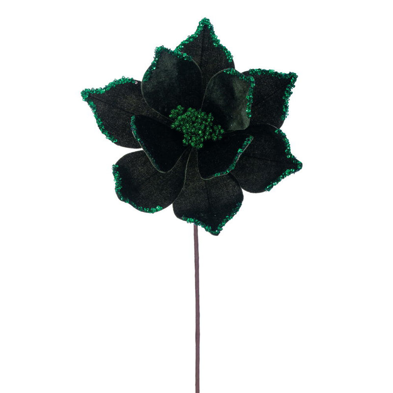 Tige de poinsettia vert 21,5 po Dakota Fields, comprend 6 pièces par sac.