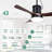 42" Black Smart Outdoor Ceiling Fan With Lights And APP Control, Waterproof Plug-in Reversible DC Motor Ceiling Fan For Patios