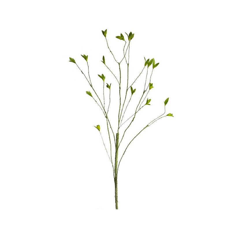 Silk Cloth Arrangement