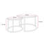 Perryton Frame 2 Piece Coffee Table-79705114