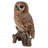 Owl on Stump Statue