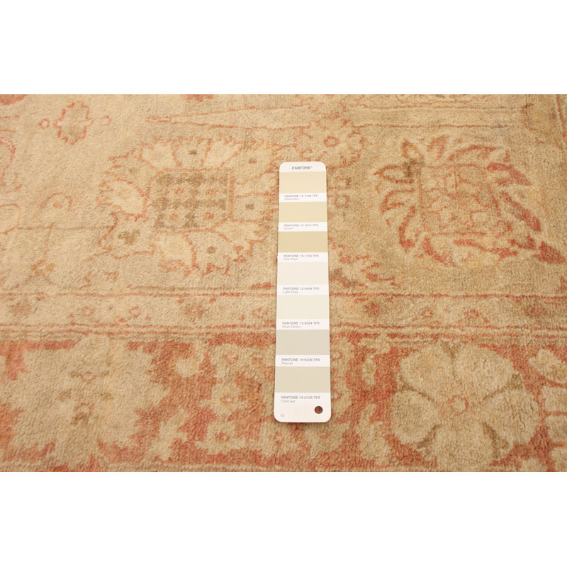 Tapis décoratif en laine brun clair de conception unique 3 pi 10 po x 6 pi 2 po Buikema noué à la main