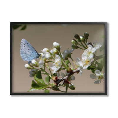 Papillon perché, bourgeonnant fleur, estampe numérique texturée par Daphne Polselli