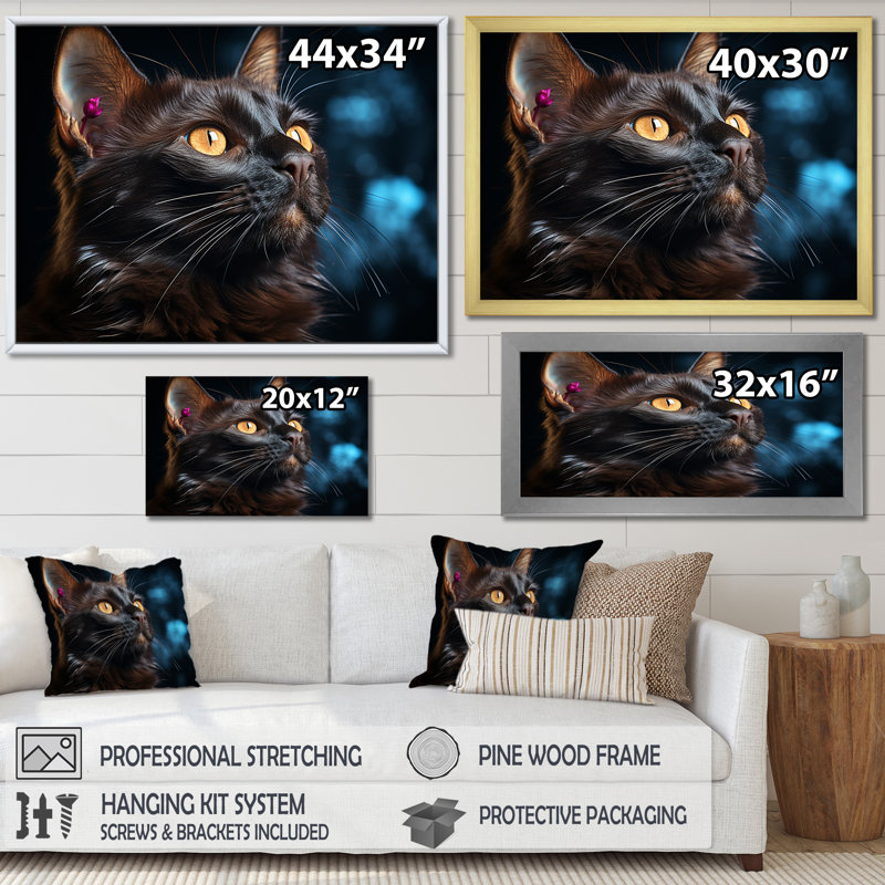 «Burmese Beauty Black Cat», reproduction sur toile, H 24 po x l 32 po, Cadre flottant noir