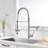 FLG Pull Down Kitchen Faucet