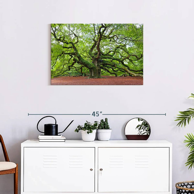 Harnek Lush Oak Tree, 20" H x 30" W
