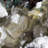Chevala Crystal