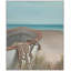 Anchored By Sand Print by Ryan Brown-2131688483