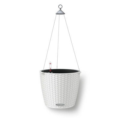 Hanging Planter